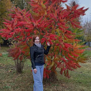 ���������� ������, ���� ������� �����, 29 ���, ������������ ��� ������, ����� � ���������