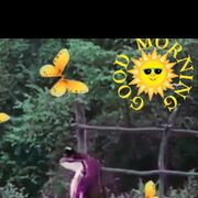  ,   , 52 ,     , 
