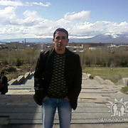 ���������� ������, ���� ������� ���94375231, 39 ���, ������������ ��� ������, ����� � ���������, c�������� ���������