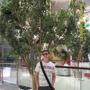 ���������� ������, ���� ������� C�����, 41 ���, ������������ ��� ������, ����� � ���������, c�������� ���������