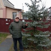 ���������� ����, ���� ������� ���������, 68 ���, ������������ ��� c�������� ���������