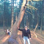 ���������� ��������, ���� ������� �����, 40 ���, ������������ ��� ������