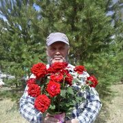 ���������� ������, ���� ������� ����, 72 ����, ������������ ��� c�������� ���������