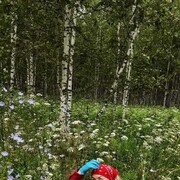 ���������� ������, ���� ������� ����, 64 ����, ������������ ��� ������, ����� � ���������, c�������� ���������