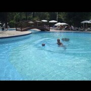 ���������� ������, ���� ������� David, 45 ���, ������������ ��� ������, ����� � ���������