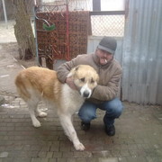  ,   , 59 ,   ,   , c , 