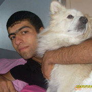  ,  GOR, 31