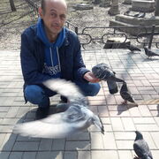  ,   , 50 ,   ,   , c , 