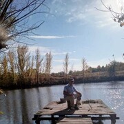  ,   , 50 ,   ,   
