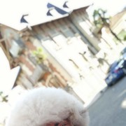 ���������� ����, ���� ������� �����, 37 ���, ������������ ��� ������, ����� � ���������, c�������� ���������