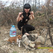 ���������� ����, ���� ������� �������, 54 ����, ������������ ��� ������