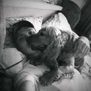 ���������� �����������, ���� ������� ������, 36 ���, ������������ ��� ������, ����� � ���������, c�������� ���������