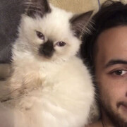 ���������� ���������, ���� ������� ����, 39 ���, ������������ ��� ������, ����� � ���������