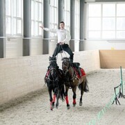 ���������� ������, ���� ������� ����, 31 ���, ������������ ��� ������, ����� � ���������, c�������� ���������, ���������