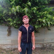 ���������� ������, ���� ������� �����, 38 ���, ������������ ��� ������, ����� � ���������, c�������� ���������