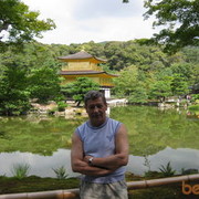  ,   , 71 ,     , c 