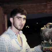 ���������� �������, ���� ������� Prince, 34 ����, ������������ ��� ������, ����� � ���������, c�������� ���������