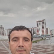  ,   , 43 ,     