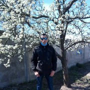  ,   , 38 ,     , c 