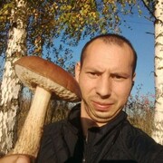 ���������� ������, ���� ������� ���������, 31 ���, ������������ ��� ������, ����� � ���������