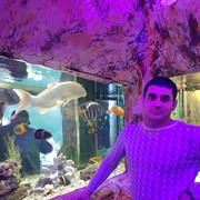 ���������� �����������, ���� ������� ������, 40 ���, ������������ ��� ������, ����� � ���������, c�������� ���������, ���������