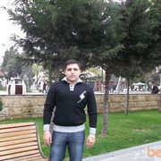  ,   Niko466, 37 ,   