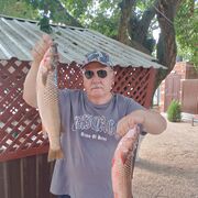 ���������� �������, ���� ������� ��������, 69 ���, ������������ ��� ������, ����� � ���������