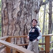 ���������� ��������, ���� ������� �������, 67 ���, ������������ ��� c�������� ���������, ���������