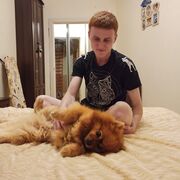 ���������� �����, ���� ����� Choco Pie, 23 ����, ������������ ��� ������, ���������