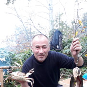  -,   , 62 ,   ,   , c 
