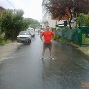   ,   , 43 ,  