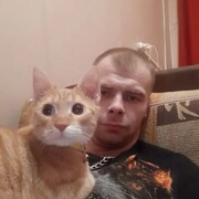 ���������� ����, ���� ������� �������, 29 ���, ������������ ��� ������, ����� � ���������