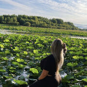 ���������� ������, ���� ������� ����������, 30 ���, ������������ ��� ������, ����� � ���������, ���������