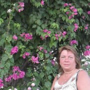  ,   , 58 ,     , c 