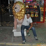 ���������� ������� �����, ���� ������� ����, 41 ���, ������������ ��� ������, ����� � ���������, c�������� ���������