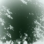  ,   , 33 ,  