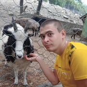  ,   , 28 ,     , c 