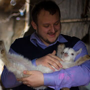 ���������� �������, ���� ������� ��������, 42 ����, ������������ ��� c�������� ���������