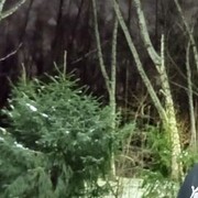 ���������� ����, ���� ������� Max, 42 ����, ������������ ��� ����� � ���������