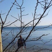 ���������� �����-���������, ���� ������� ������, 31 ���, ������������ 