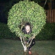 ���������� ������, ���� ������� �����, 57 ���, ������������ ��� c�������� ���������