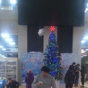 ���������� �������, ���� ������� �����, 42 ����, ������������ ��� ����� � ���������, c�������� ���������