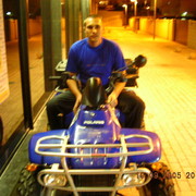  ,   Kot, 46 ,   