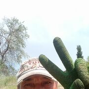  ,   , 53 ,     , c 