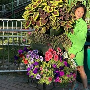 ���������� ������, ���� ������� �������, 56 ���, ������������ ��� ������, ����� � ���������