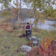  ,   M, 33 ,   , 