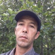  ,   , 48 ,  