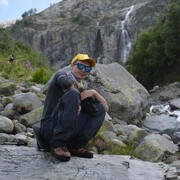 ���������� �������, ���� ������� ���������, 29 ���, ������������ 