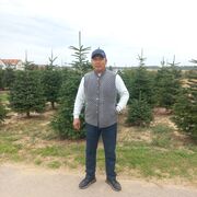  Stuttgart,   Turar, 43 ,   ,   , c 