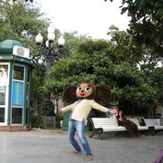 ���������� ������-��-����, ���� ������� ������, 48 ���, ������������ ��� ������, ����� � ���������, c�������� ���������